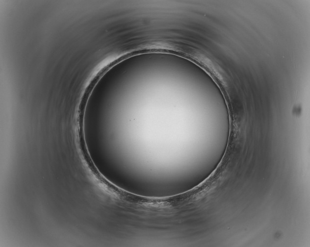 X0000097621133200803071505