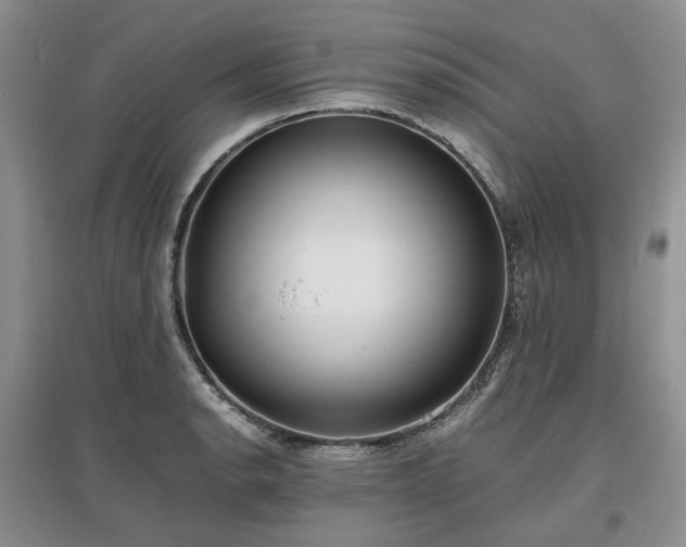 X0000097621134200803071505