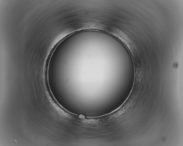 X0000097621135200803071505