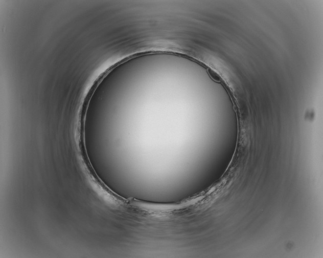 X0000097621136200803071505