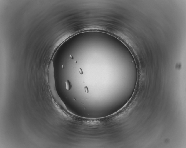 X0000097621137200803071505