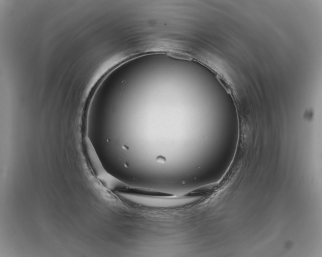 X0000097621138200803071505