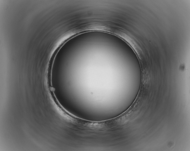 X0000097621139200803071505