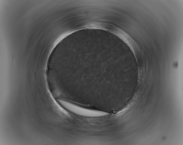 X0000097621141200803071505