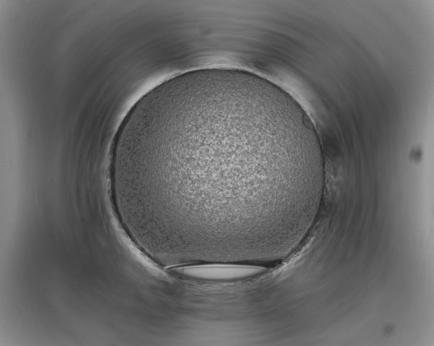 X0000097621142200803071505