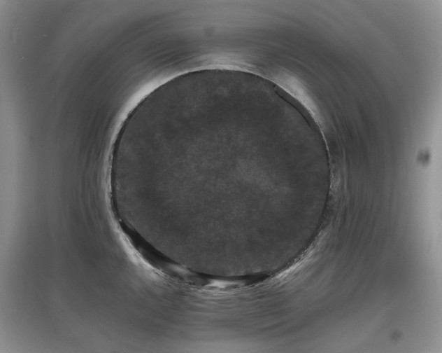 X0000097621144200803071505