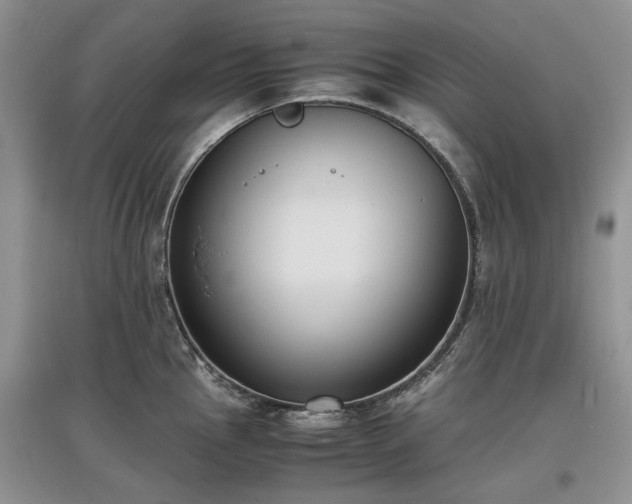 X0000097621145200803071505
