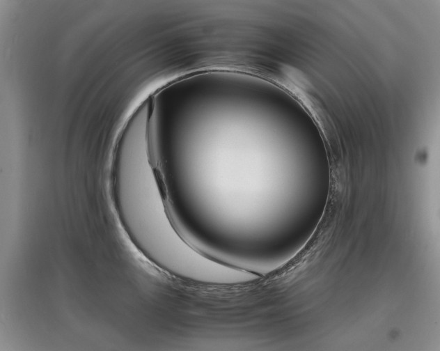 X0000097621147200803071505
