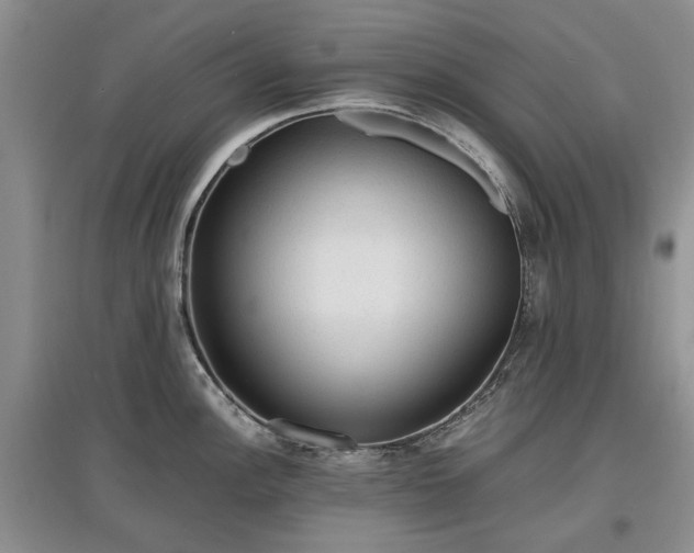 X0000097621148200803071505