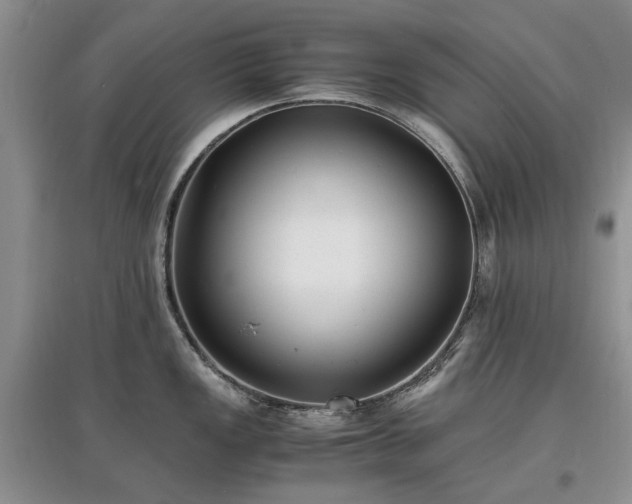 X0000097621149200803071505