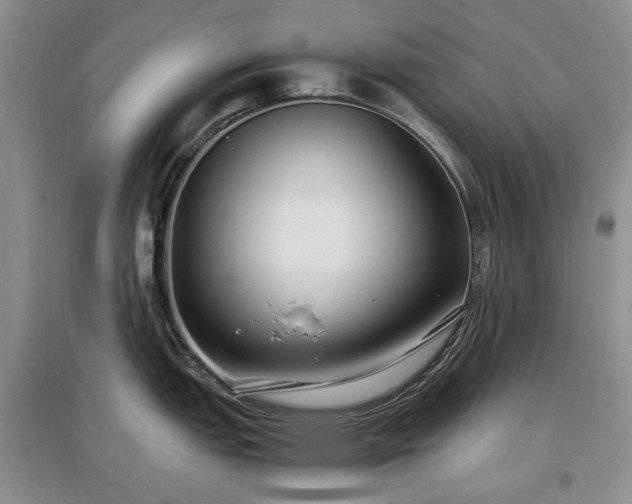 X0000097621151200803071505