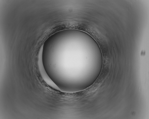 X0000097621153200803071504