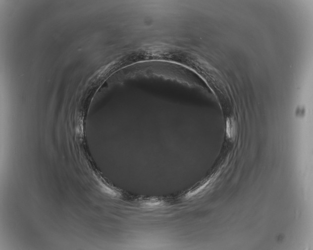 X0000097621155200803071504
