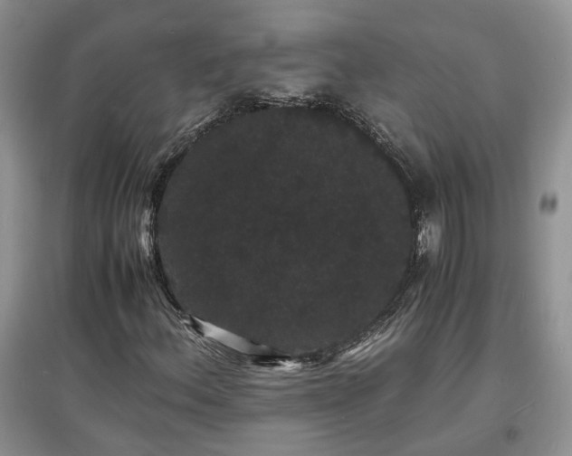 X0000097621156200803071504