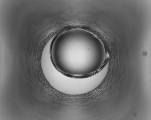 X0000097621157200803071504