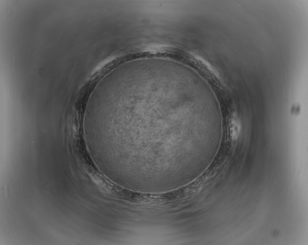 X0000097621158200803071504