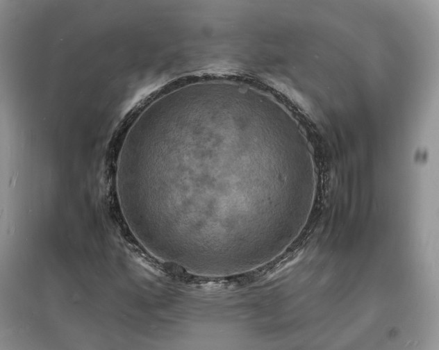X0000097621160200803071504