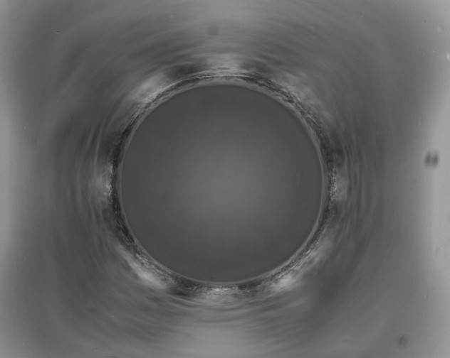 X0000097621161200803071504
