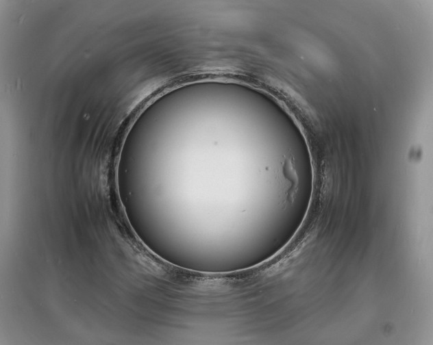X0000097621162200803071504