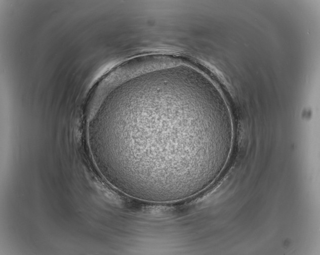 X0000097621163200803071504
