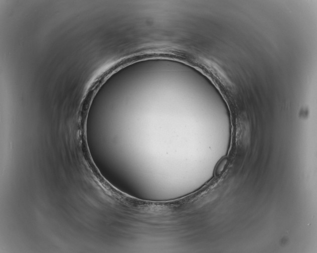 X0000097621164200803071504