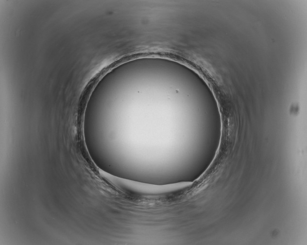 X0000097621165200803071504