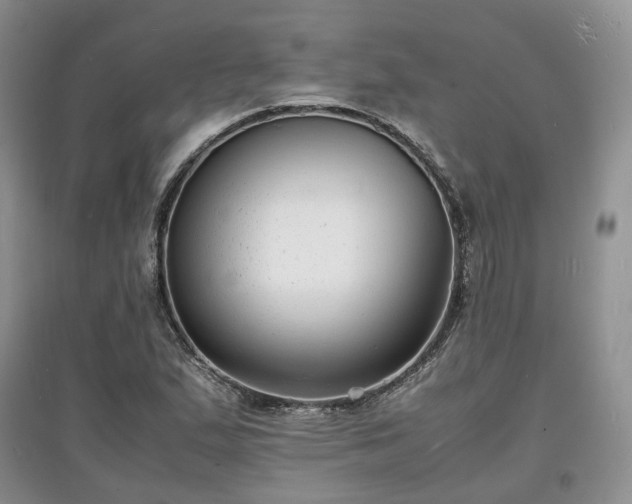 X0000097621167200803071504