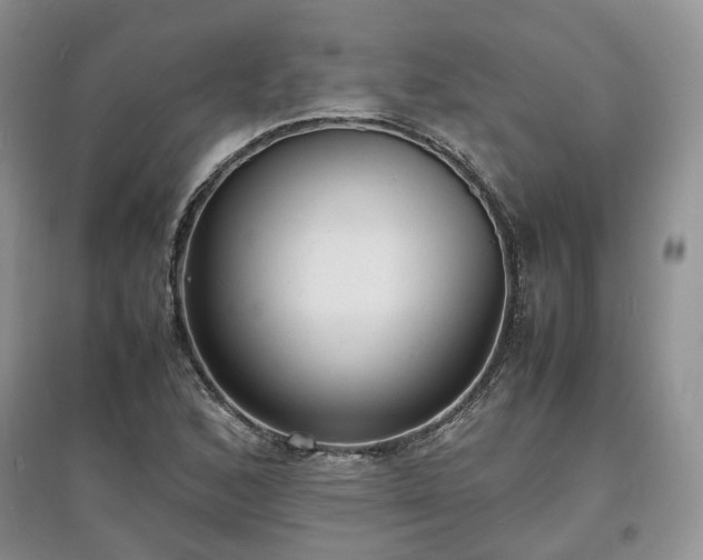 X0000097621168200803071504