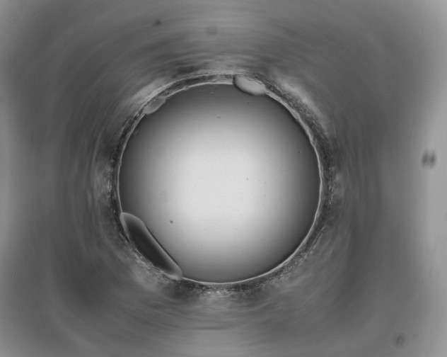 X0000097621169200803071504