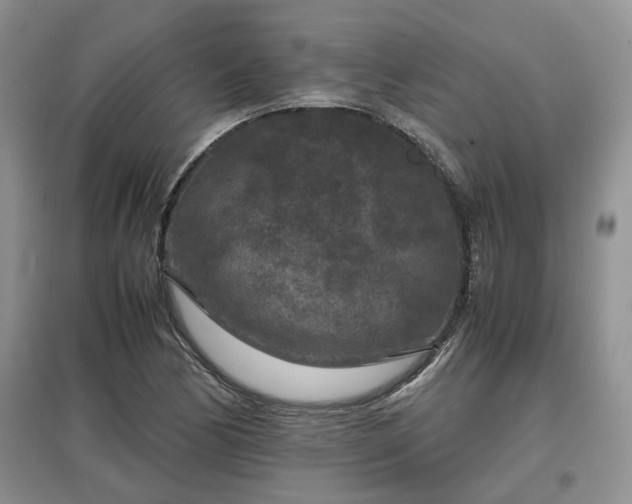 X0000097621170200803071504