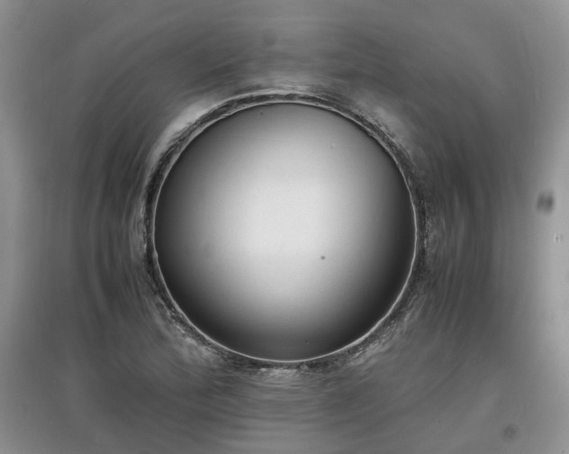 X0000097621172200803071504
