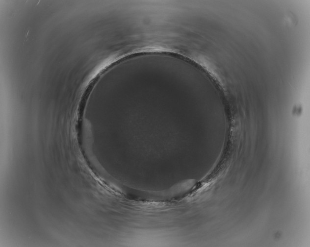 X0000097621173200803071504