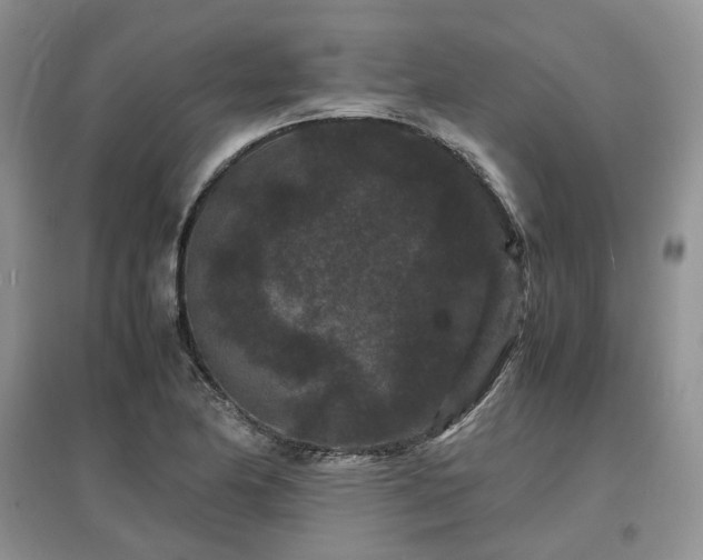 X0000097621174200803071504