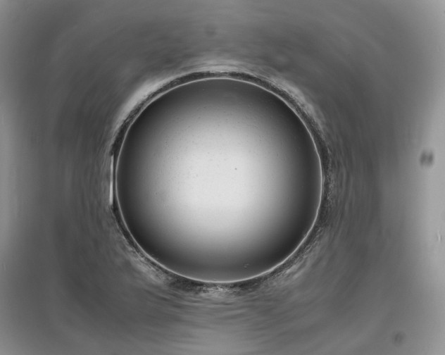 X0000097621175200803071504