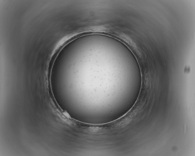 X0000097621176200803071504
