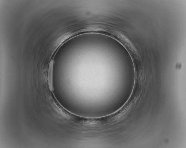 X0000097621177200803071504