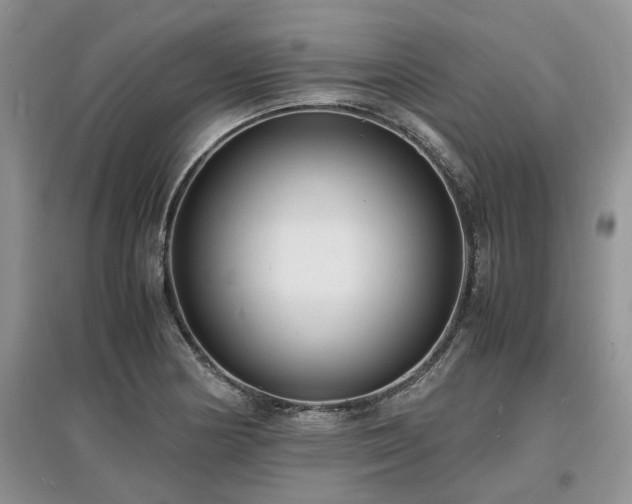 X0000097621178200803071504