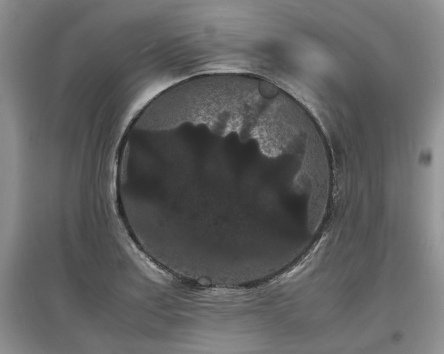 X0000097621179200803071504