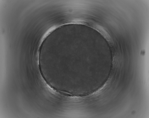 X0000097621180200803071504