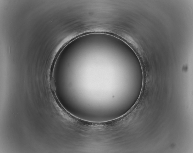 X0000097621181200803071504