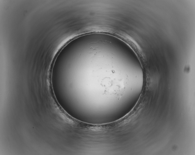 X0000097621182200803071504