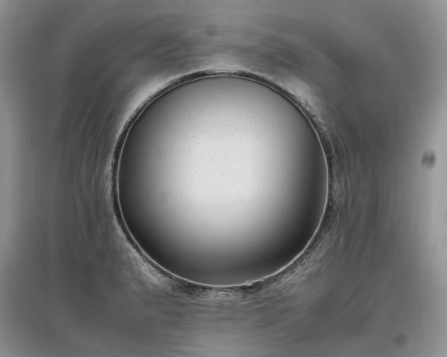 X0000097621183200803071504