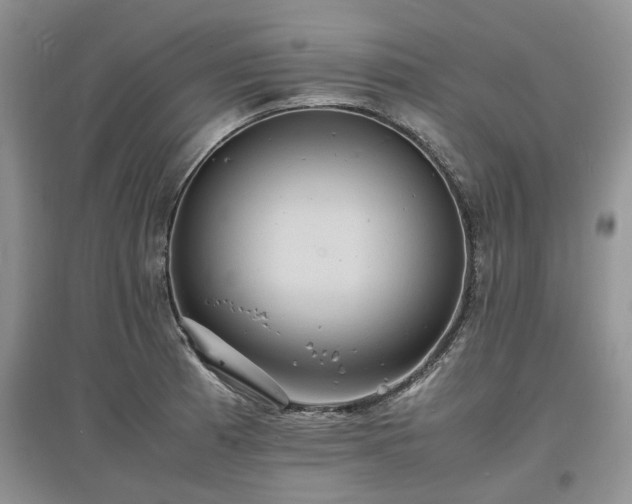X0000097621185200803071504