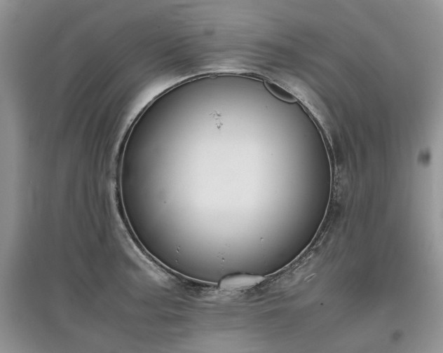 X0000097621187200803071504