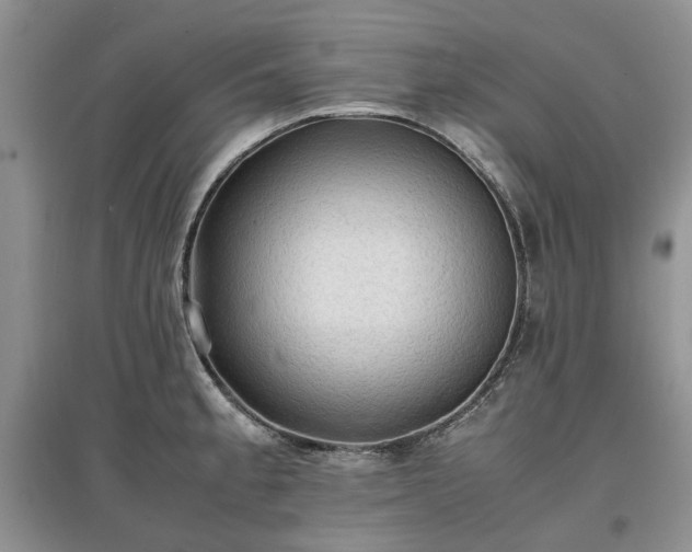 X0000097621189200803071504