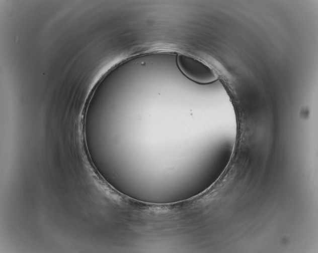 X0000097621190200803071504