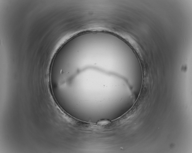 X0000097621191200803071504
