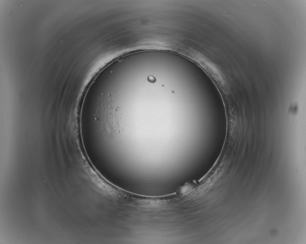 X0000097621192200803071504