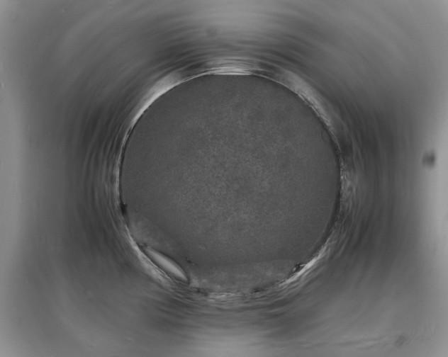 X0000097621194200803071504