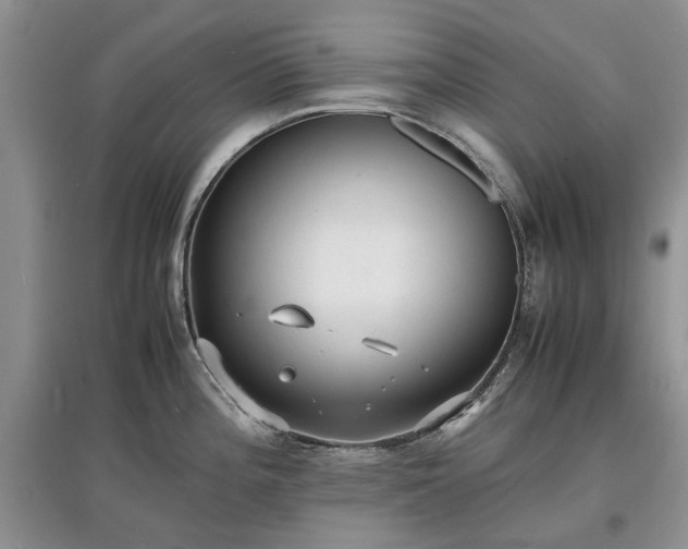 X0000097621196200803071504